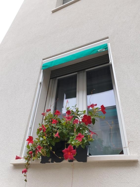 Ferienwohnung A Casa Di Elsa Castenaso Exterior foto